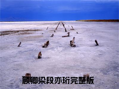 繁花尽时梦情深（顾卿染段亦珩）全文免费阅读无弹窗大结局_顾卿染段亦珩免费最新章节列表_笔趣阁