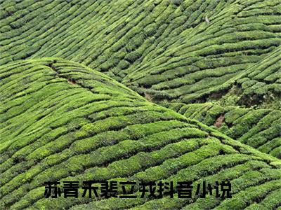 苏青禾裴立戎（苏青禾裴立戎）全文免费阅读无弹窗大结局_苏青禾裴立戎最新章节列表_笔趣阁（苏青禾裴立戎）