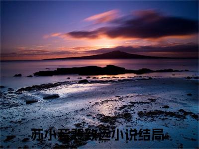 苏小若裴致远小说（苏小若裴致远）全文免费阅读-苏小若裴致远精彩章节在线阅读