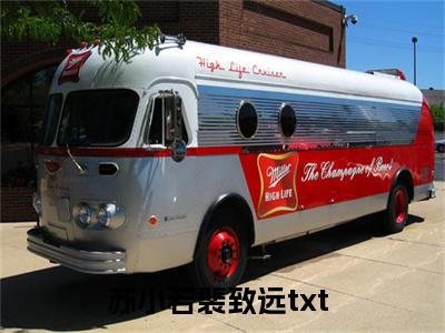 苏小若裴致远（苏小若裴致远）全文免费阅读无弹窗大结局_苏小若裴致远免费阅读最新章节列表_笔趣阁