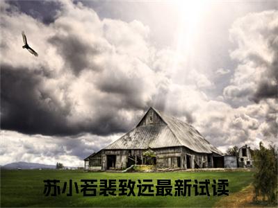苏小若裴致远全文免费阅读无弹窗-苏小若裴致远小说全文在线阅读笔趣阁