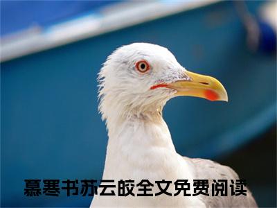 病态索吻！阴戾世子重生后抱紧我小说（慕寒书苏云皎）全章节完整版免费小说_病态索吻！阴戾世子重生后抱紧我最新章节在线阅读_笔趣阁