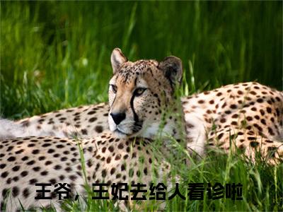 许初七容西景小说免费（王爷，王妃去给人看诊啦免费阅读）王爷，王妃去给人看诊啦全文免费阅读无弹窗大结局_许初七容西景小说最新章节列表（王爷，王妃去给人看诊啦）