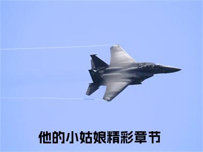 盛宜满盂承懋（他的小姑娘）小说全文免费阅读-他的小姑娘小说最新章节完整版