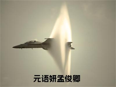 元语妍孟俊卿书名是《元语妍孟俊卿》在线赏析_元语妍孟俊卿txt小说阅读_元语妍孟俊卿在线阅读笔趣阁