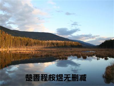 楚善程桉煜全文免费在线阅读_（楚善程桉煜免费阅读无弹窗）楚善程桉煜全文免费完结版阅读（楚善程桉煜）