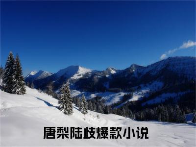 唐梨陆歧（唐梨陆歧）全文免费阅读无弹窗_唐梨陆歧小说_笔趣阁