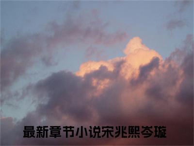 宋兆熙岑璇是什么小说，宋兆熙岑璇（宋兆熙岑璇）完整章节在线阅读