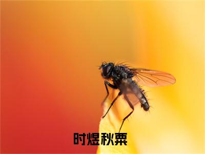 时煜秋粟（时煜秋粟）全文免费阅读无弹窗大结局_（时煜秋粟全文免费阅读无弹窗）时煜秋粟最新章节列表_笔趣阁（时煜秋粟）