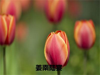 折辱（姜南陆宴）全文免费阅读无弹窗大结局_折辱小说全文免费阅读最新章节列表（姜南陆宴）