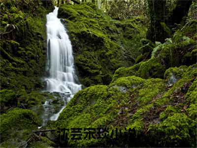 沈芸宋琰(沈芸宋琰)全文免费阅读无弹窗_(沈芸宋琰)沈芸宋琰最新章节列表笔趣阁（沈芸宋琰）
