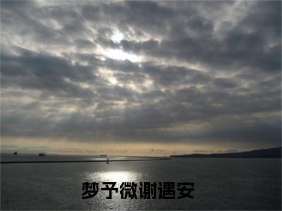 梦予微谢遇安小说（梦予微谢遇安）热推新书_梦予微谢遇安最新章节在线阅读_笔趣阁