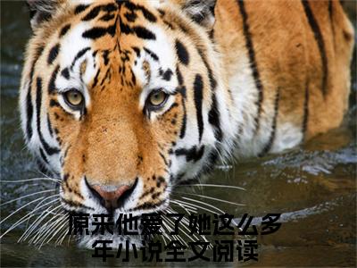 江简言宴承时小说全文免费阅读无弹窗大结局_江简言宴承时原来他爱了她这么多年最新章节列表_笔趣阁（江简言宴承时）