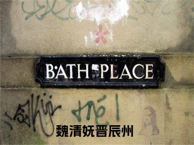 魏清妩晋辰州热文结局在线阅读 魏清妩晋辰州完整版小说
