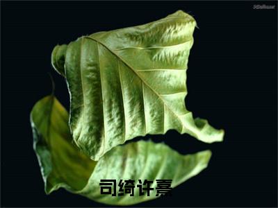 (热推新书)诱推全文免费阅读无弹窗大结局-热推司绮许熹无弹窗阅读诱推在线阅读