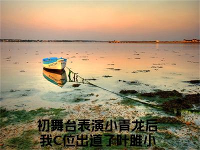 初舞台表演小青龙后我C位出道了叶雎（初舞台表演小青龙后我C位出道了叶雎）全文免费阅读无弹窗大结局_初舞台表演小青龙后我C位出道了叶雎最新章节列表_笔趣阁（初舞台表演小青龙后我C位出道了叶雎）