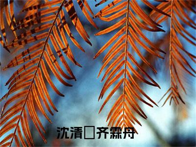 沈清玥齐霖舟小说(沈清玥齐霖舟)全文免费阅读无弹窗大结局 沈清玥齐霖舟小说全文无删减版