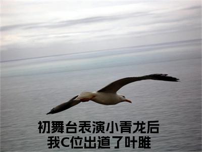 初舞台表演小青龙后我C位出道了叶雎完结版阅读《初舞台表演小青龙后我C位出道了叶雎》最新章节目录好书推荐_(初舞台表演小青龙后我C位出道了叶雎)