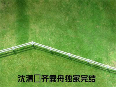沈清玥齐霖舟在线阅读的小说完整版-沈清玥齐霖舟（沈清玥齐霖舟）小说免费阅读