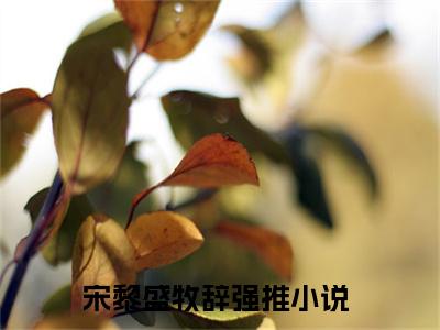 宋黎盛牧辞小说（宋黎盛牧辞）全文免费阅读无弹窗_宋黎盛牧辞全文免费阅读无弹窗最新章节列表笔趣阁（宋黎盛牧辞）