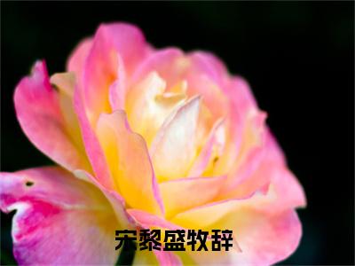 宋黎盛牧辞（宋黎盛牧辞）全文免费阅读无弹窗大结局_宋黎盛牧辞全文免费阅读（宋黎盛牧辞）最新章节列表_笔趣阁（宋黎盛牧辞）