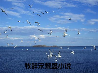 牧辞宋黎盛完整版 牧辞宋黎盛小说全文在线阅读
