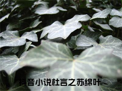 杜言之苏绵叶(杜言之苏绵叶)小说免费阅读无弹窗_(杜言之苏绵叶)杜言之苏绵叶最新章节列表笔趣阁（杜言之苏绵叶）