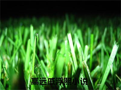 高远戚浮熙小说全文（高远戚浮熙）全文免费阅读无弹窗大结局_高远戚浮熙小说全文最新章节列表_笔趣阁(高远戚浮熙小说全文）