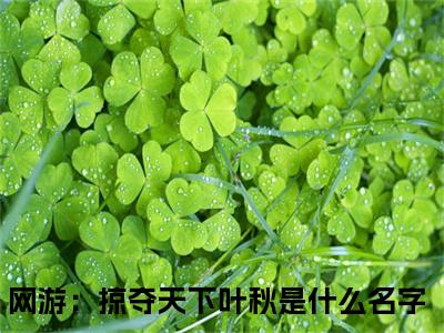 网游：掠夺天下叶秋小说（网游：掠夺天下叶秋）最新章节阅读-网游：掠夺天下叶秋免费阅读无弹窗大结局