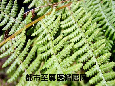 都市至尊医婿唐风（都市至尊医婿唐风）全文免费阅读无弹窗大结局_（都市至尊医婿唐风全文免费阅读无弹窗）都市至尊医婿唐风最新章节列表_笔趣阁（都市至尊医婿唐风）