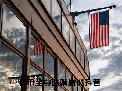 （都市至尊医婿唐风）新书热荐免费小说-小说大结局