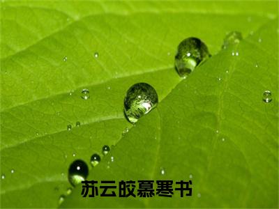 最火言情小说（苏云皎慕寒书）-老书虫良心推荐苏云皎慕寒书（苏云皎慕寒书）小说精彩免费试读