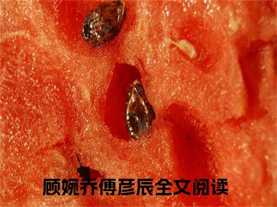 顾婉乔傅彦辰（真爱竟在重生后!）老书虫2023良心推荐小说-顾婉乔傅彦辰（真爱竟在重生后!）小说精彩免费试读