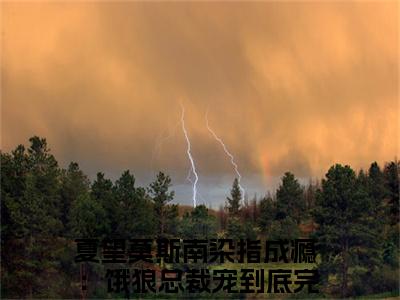 夏望莫斯南（染指成瘾：饿狼总裁宠到底）全文免费阅读无弹窗大结局_染指成瘾：饿狼总裁宠到底免费最新章节列表_笔趣阁