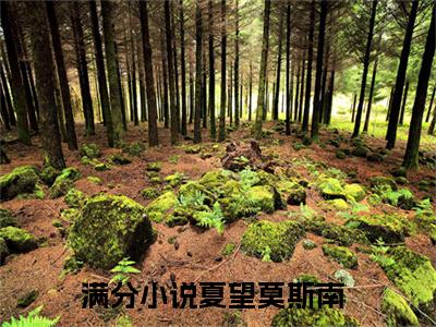 夏望莫斯南（染指成瘾：饿狼总裁宠到底）多人推荐-染指成瘾：饿狼总裁宠到底夏望莫斯南好看的小说完整版全文