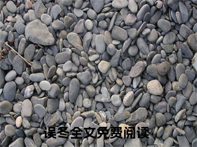 冯念恩傅聿西(误冬)小说免费下载全本-冯念恩傅聿西（误冬完整版）免费阅读（冯念恩傅聿西）