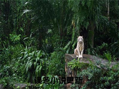 误冬小说全文免费阅读 （冯念恩傅聿西）免费阅读全文免费阅读无弹窗大结局