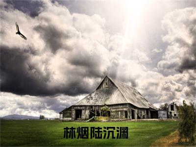小说林烟陆沉渊免费阅读-（林烟陆沉渊）全文无弹窗阅读