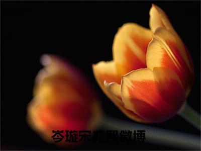 岑璇宋兆熙小说大结局免费阅读-（岑璇宋兆熙）抖音新上热文分享岑璇宋兆熙