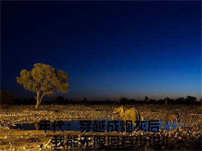 叶佩瑶邱宏远（年代：穿越成炮灰后，我能无限回档）全文无弹窗大结局_叶佩瑶邱宏远小说最新章节列表