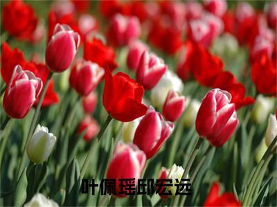 叶佩瑶邱宏远（年代：穿越成炮灰后，我能无限回档）全文免费阅读-(年代：穿越成炮灰后，我能无限回档小说)叶佩瑶邱宏远最新章节列表_笔趣阁（年代：穿越成炮灰后，我能无限回档）