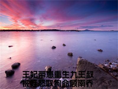 王妃带崽重生九王叔被娃怒取狗命顾南乔新书热荐免费小说全文完整版-小说精选片段阅读