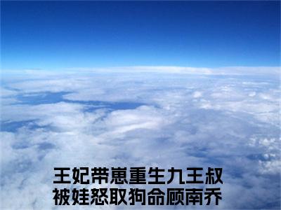 王妃带崽重生九王叔被娃怒取狗命顾南乔（王妃带崽重生九王叔被娃怒取狗命顾南乔小说）全文免费阅读无弹窗大结局_（王妃带崽重生九王叔被娃怒取狗命顾南乔无弹窗）
