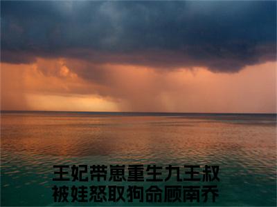 王妃带崽重生九王叔被娃怒取狗命顾南乔（王妃带崽重生九王叔被娃怒取狗命顾南乔）全文免费阅读大结局_ (王妃带崽重生九王叔被娃怒取狗命顾南乔)王妃带崽重生九王叔被娃怒取狗命顾南乔最新章节列表_笔趣阁（王妃带崽重生九王叔被娃怒取狗命顾南乔）