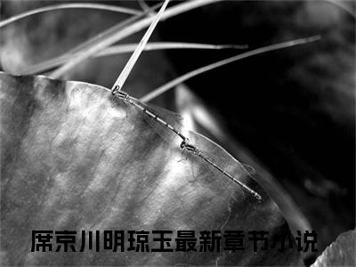 席京川明琼玉全文免费阅读在线阅读 席京川明琼玉全文免费阅读最新章节列表_笔趣阁