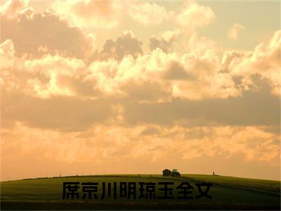 席京川明琼玉什么小说 席京川明琼玉全文免费阅读在线阅读