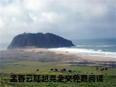 孟春云陆越尧（孟春云陆越尧）全文免费阅读无弹窗大结局_孟春云陆越尧最新章节列表_笔趣阁