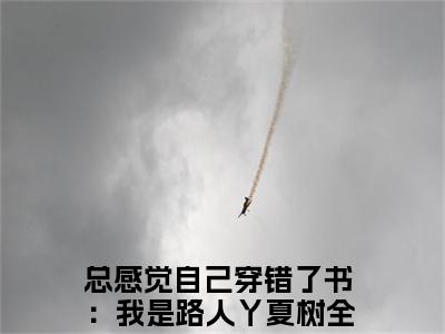 总感觉自己穿错了书：我是路人丫夏树知乎小说-总感觉自己穿错了书：我是路人丫夏树免费阅读大结局无弹窗