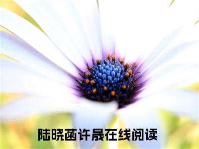 陆晓菡许晟（陆晓菡许晟）全文免费阅读无弹窗大结局_陆晓菡许晟免费最新章节列表_笔趣阁