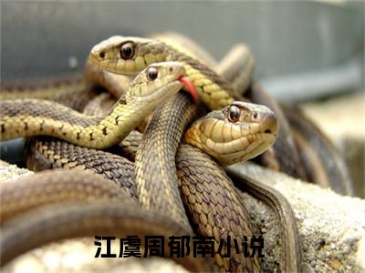 江虞周郁南（江虞周郁南）美文赏析完整版-江虞周郁南好看的小说阅读